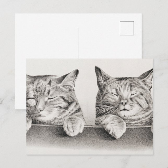 Vintage Sleeping Cats Lithograph, 1874 Vykort (Fram/baksida)