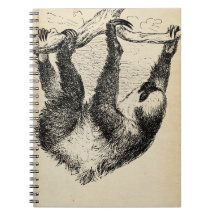 Vintage Sloth Illustration on Åldras Papper Anteck