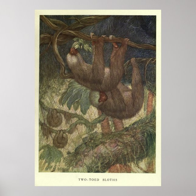 Vintage Sloth Painting (1919) Poster (Framsidan)