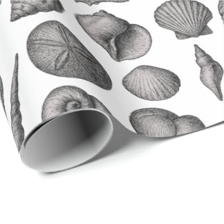 Vintage Snäckskal Ocean Natur Skiss Mönster Presentpapper