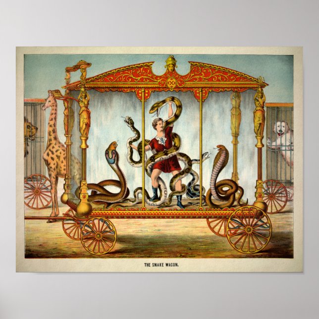 Vintage Snake Wagon Poster (Framsidan)