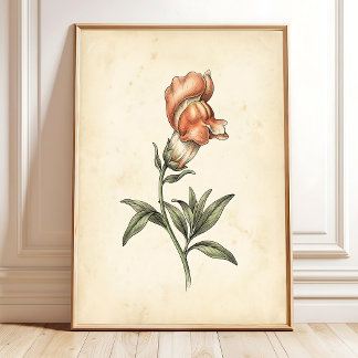 Vintage Snapdragon Botanisk Väggkonsttryck Canvas Poster