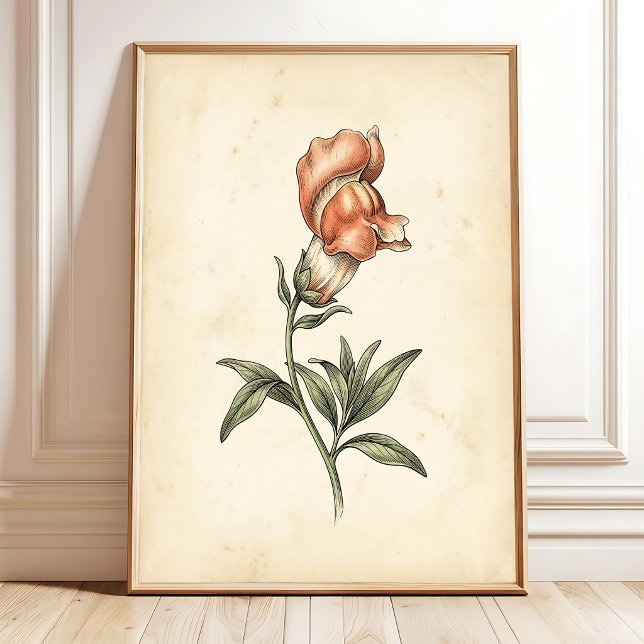 Vintage Snapdragon Botanisk Väggkonsttryck Canvas Poster (Skapare uppladdad)