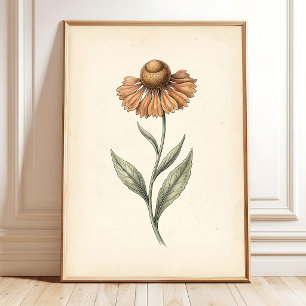 Vintage Sneezeweed Botanisk Konsttryck Poster