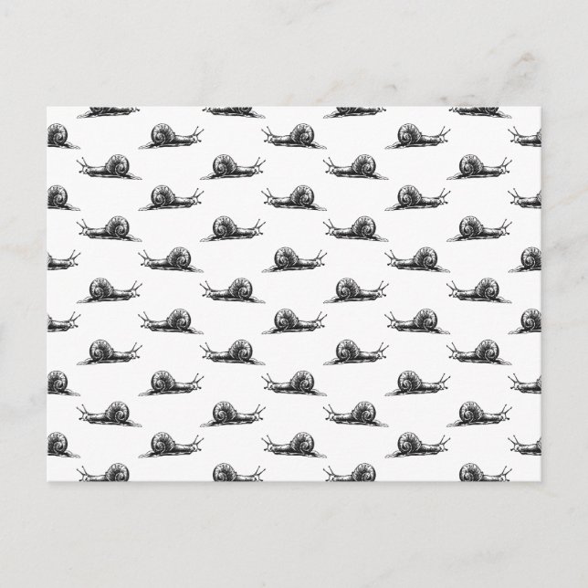 Vintage Snigel Art ANPASSNINGSBAR BAKGRUND FÄRG Vykort (Framsida)