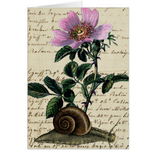 Vintage Snigel och Flower digital Art Collage Hälsningskort