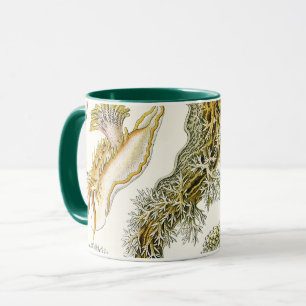 Vintage Snigel och Sea Slugs av Ernst Haeckel Mugg