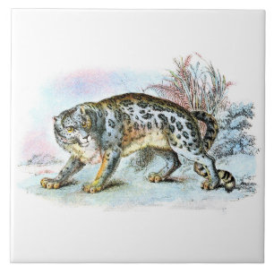 Vintage Snö Leopard Animal Illustration Kakelplatta