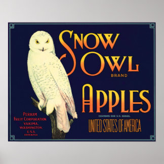 Vintage Snö Uggla äppeletikett Poster
