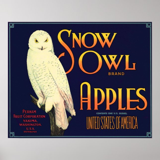 Vintage Snö Uggla äppeletikett Poster (Framsidan)
