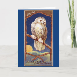 Vintage snö uggla illustration kort