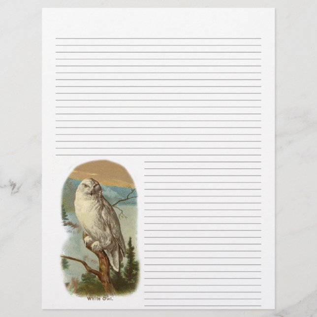 Vintage Snowy Uggla-linda Letterhead (Framsida)