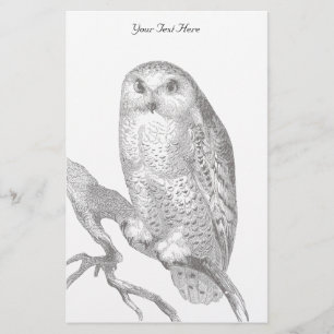 Vintage Snowy Uggla Stationery Brevpapper