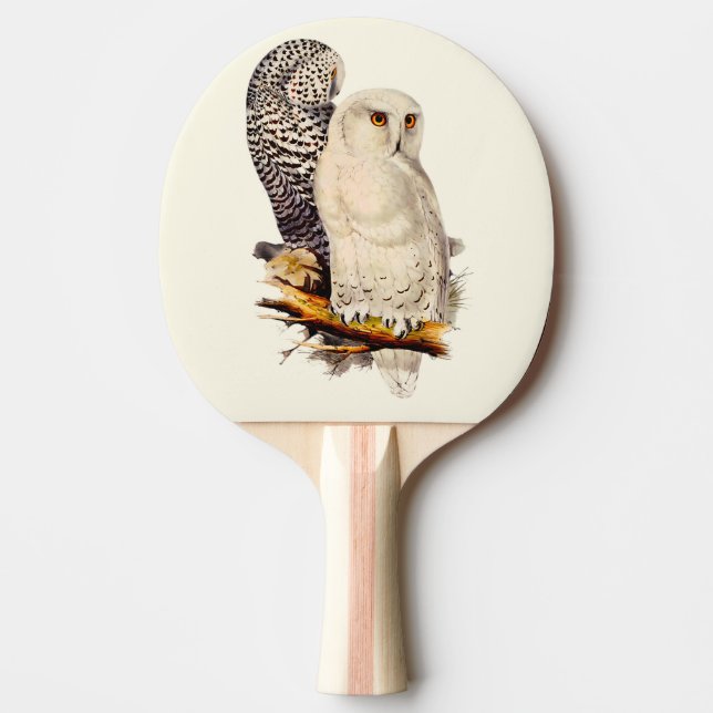 Vintage Snowy Uggla Teckning Pingisracket (Framsidan)