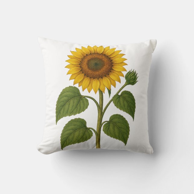 Vintage Sol Botaniskt Kuddvar Kudde (Framsida)