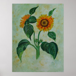 Vintage Solblommor Botaniskt konst Poster