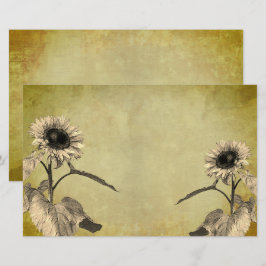 Vintage Solblommor Brevpapper