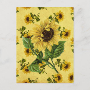Vintage Solblommor Vykort