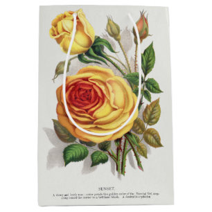 Vintage solnedgång Ros Gul & Orange Botanisk konst