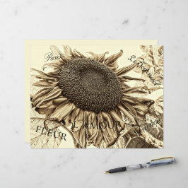 Vintage Solros Sepia Tone Gamla skript Decoupage