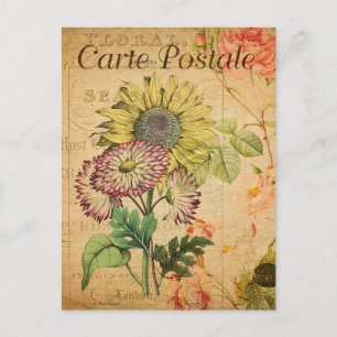 Vintage Solrosblommor Blommigt Flowers Fransk Vykort