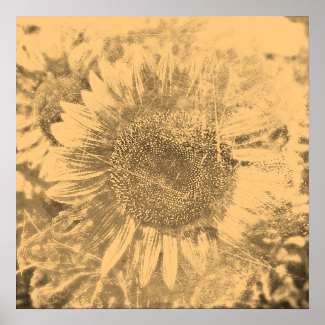 Vintage Solrosmålteckning #2 - Poster (Framsidan)