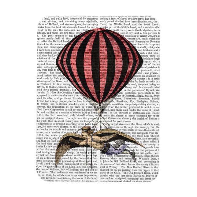 Vintage som flyger Maskin Magnet (Vertikal)