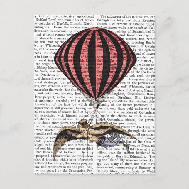 Vintage som flyger Maskin Vykort (Framsida)