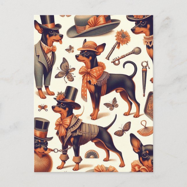 Vintage Sömlös Pinscher Vykort (Framsida)
