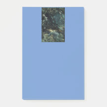 Vintage Sömnbärare