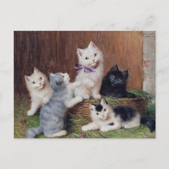 Vintage Sophie Sperlich Kittens Vykort (Framsida)