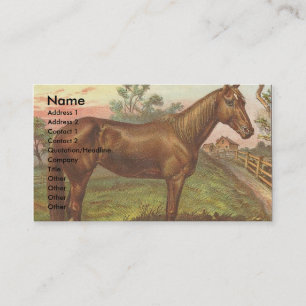 Vintage Sorrel Horse Visitkort