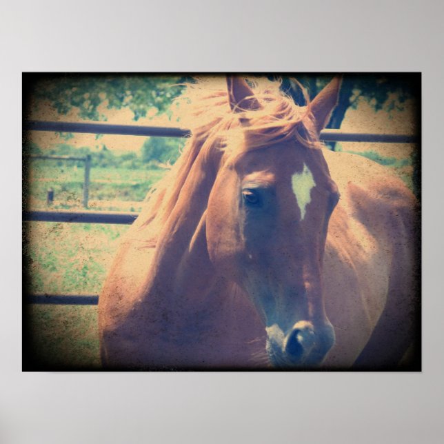 Vintage Sorrel Poster (Framsidan)