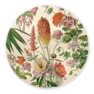 Vintage Söt Botaniska blommor Knopp