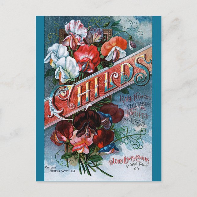 Vintage Söta ärter Vykort (Framsida)