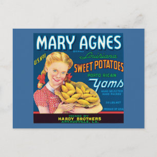 Vintage Sötpotatis Livsmedelsmärke Vykort