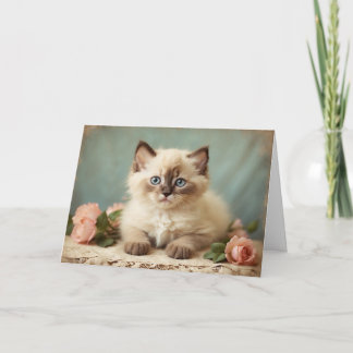 Vintage Sött Ragdoll Kittens Porträtt Blommor Sött Kort