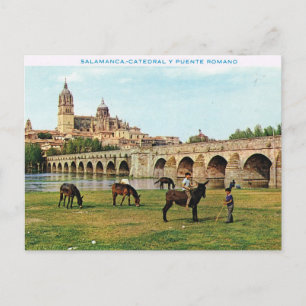 Vintage Spanien, Salamanca, domkyrka Vykort