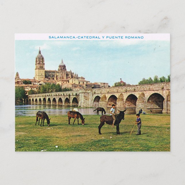 Vintage Spanien, Salamanca, domkyrka Vykort (Framsida)