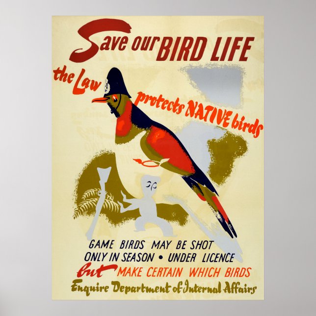 Vintage Spara Native Vild Bird Life Poster (Framsidan)