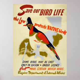 Vintage sparar infött vildfågelliv poster