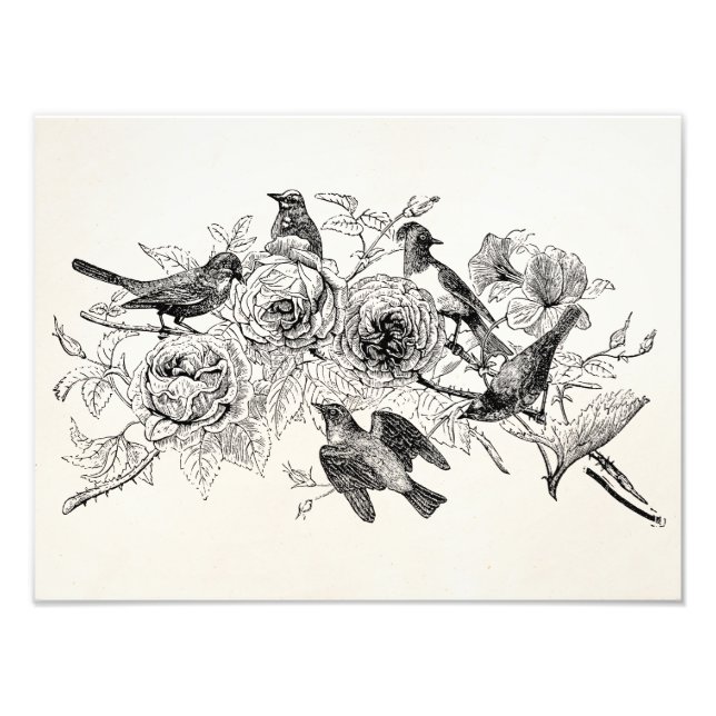Vintage Sparrow Birds Personlig Sparrows Bird Fototryck (Framsidan)