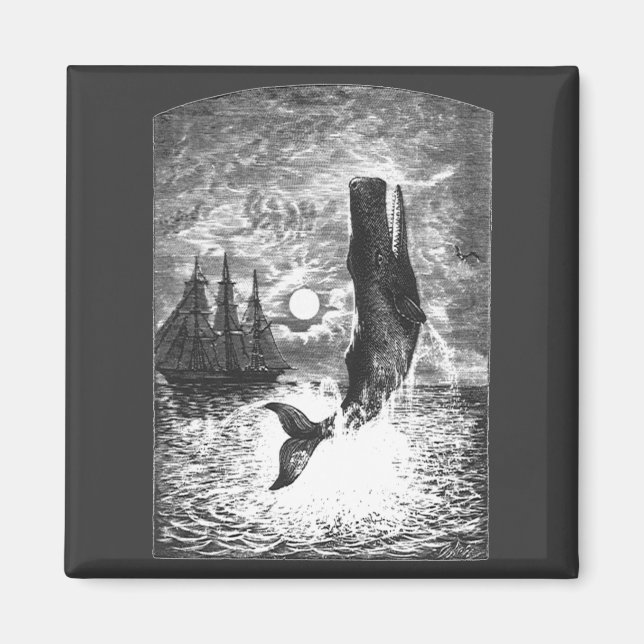Vintage Sperm Whale Breaching, Marine Life Animals Magnet (Framsidan)