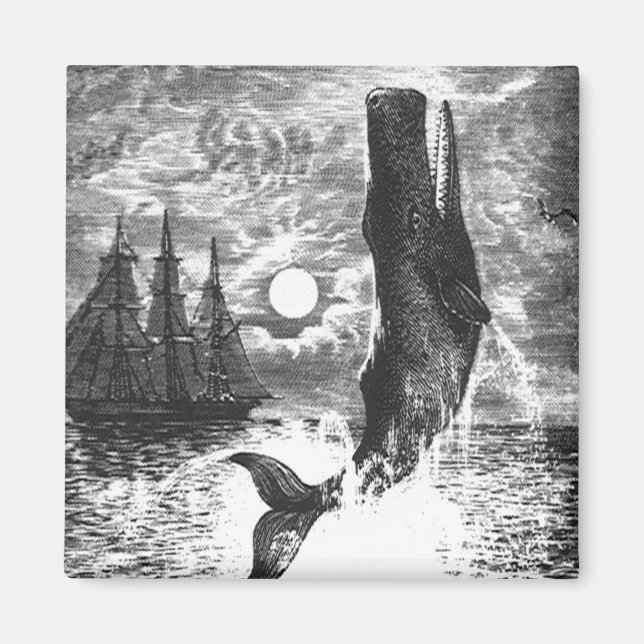 Vintage Sperm Whale Breaching, Marine Life Animals Magnet (Framsidan)