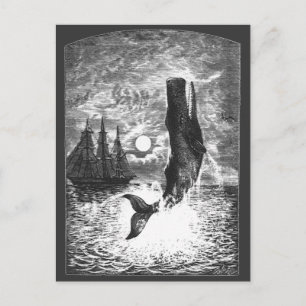 Vintage Sperm Whale Breaching, Marine Life Animals Vykort