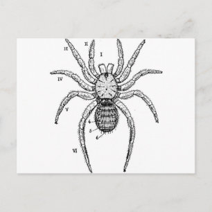 Vintage Spider-diagram Vykort