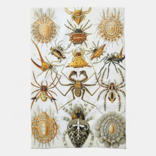 Vintage Spiders eller Arachnids av Ernst Haeckel Kökshandduk