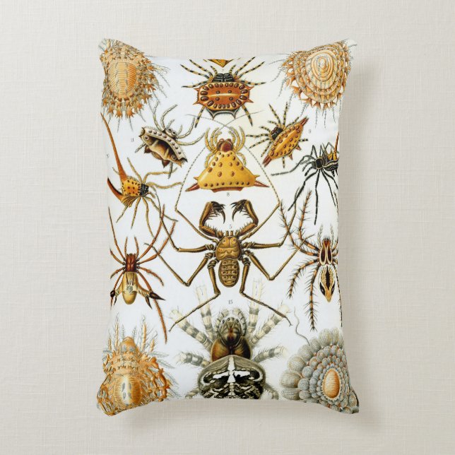 Vintage Spiders eller Arachnids av Ernst Haeckel Prydnadskudde (Framsidan(Vertikal))