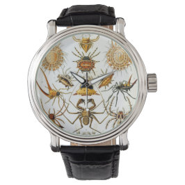 Vintage spindlar eller spindeldjur av Ernst Haecke Armbandsur
