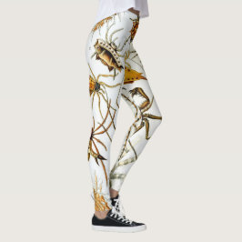 Vintage spindlar eller spindeldjur av Ernst Haecke Leggings